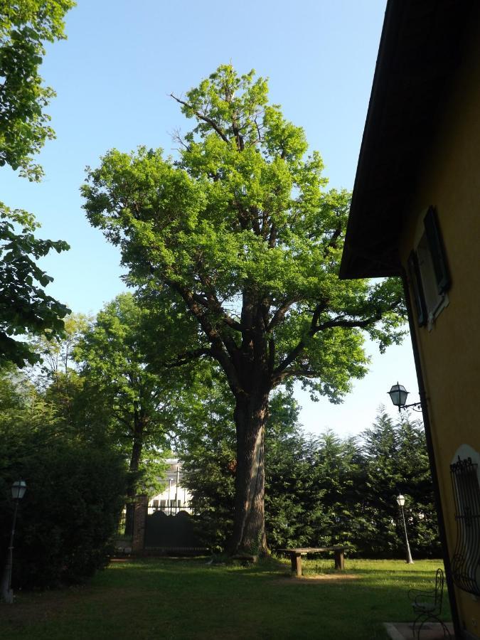 Villa Mirano Bed & Breakfast Piossasco Exteriör bild